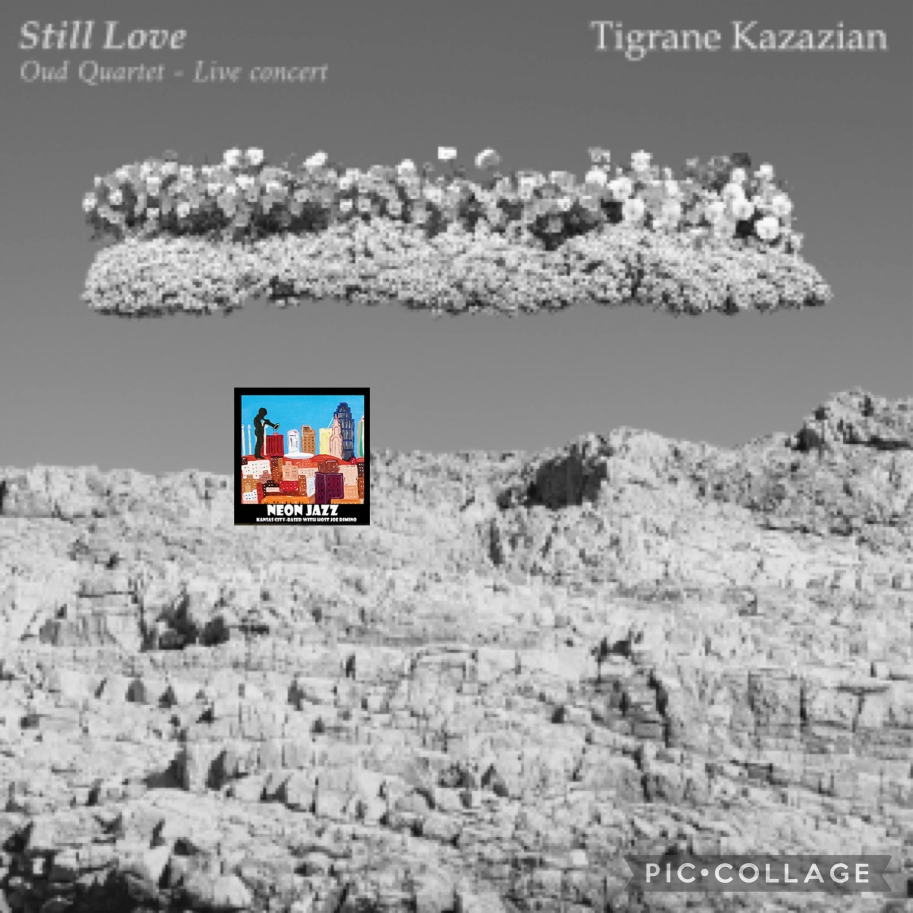 Armenia-based Oud Player & Composer Tigrane Kazazian episode artwork