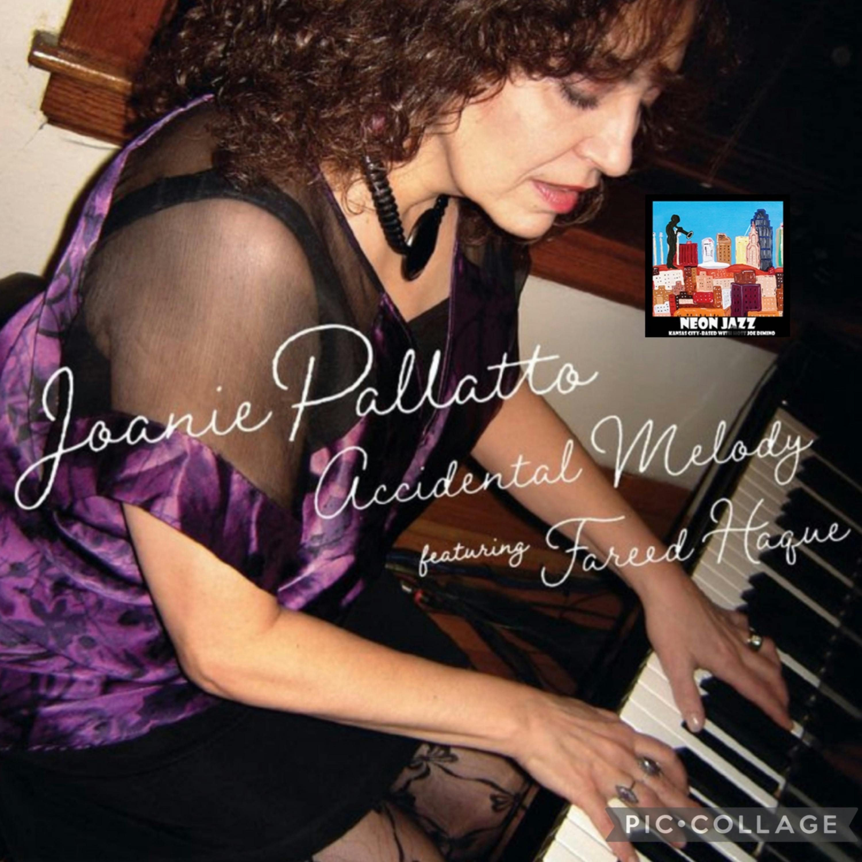Chicago-based Singer/Songwriter Joanie Pallatto on the New 2023 Album Accidental Melody episode artwork