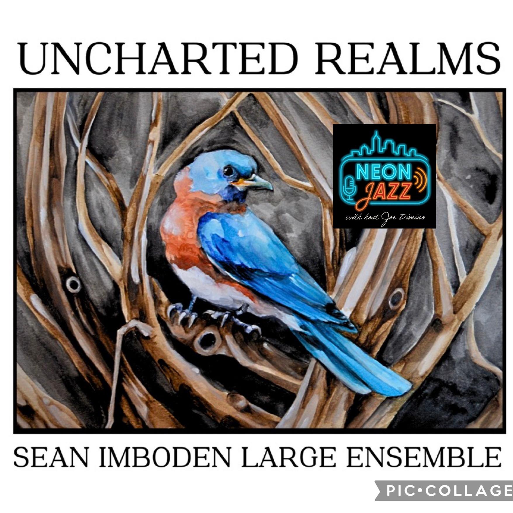 Sean Imboden Interview | Uncharted Realms (2026) | Modern Big Band Jazz & New Horizons episode artwork