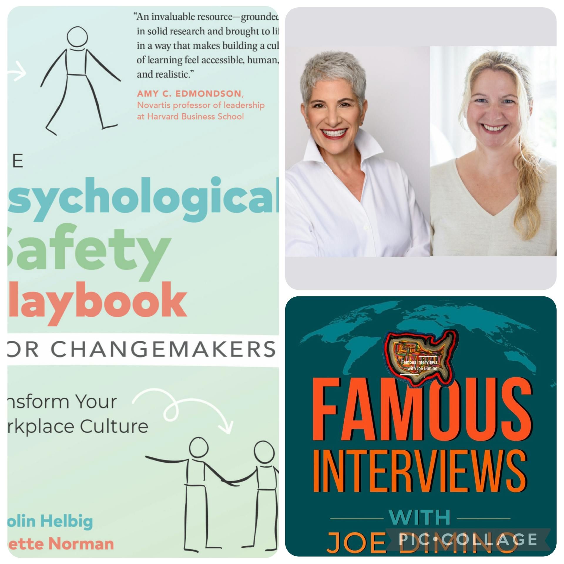 The Psychological Safety Playbook | Minette Norman & Dr. Karolin Helbig Interview episode artwork