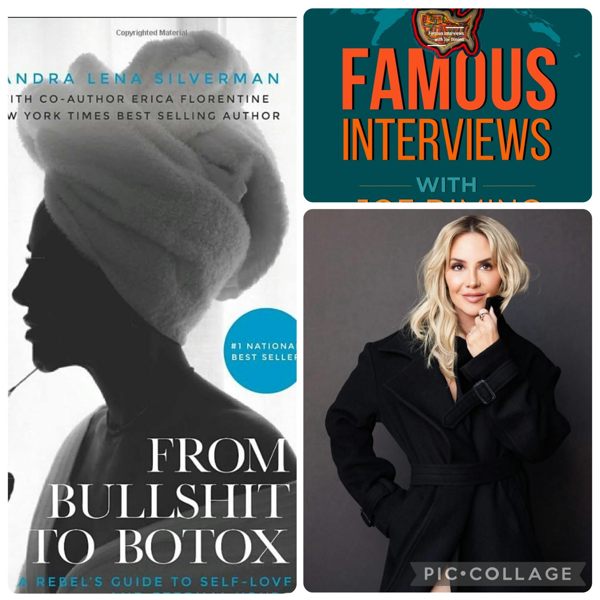 Life-Long Entrepreneur & Best-Selling Author Sandra Lena Silverman episode artwork