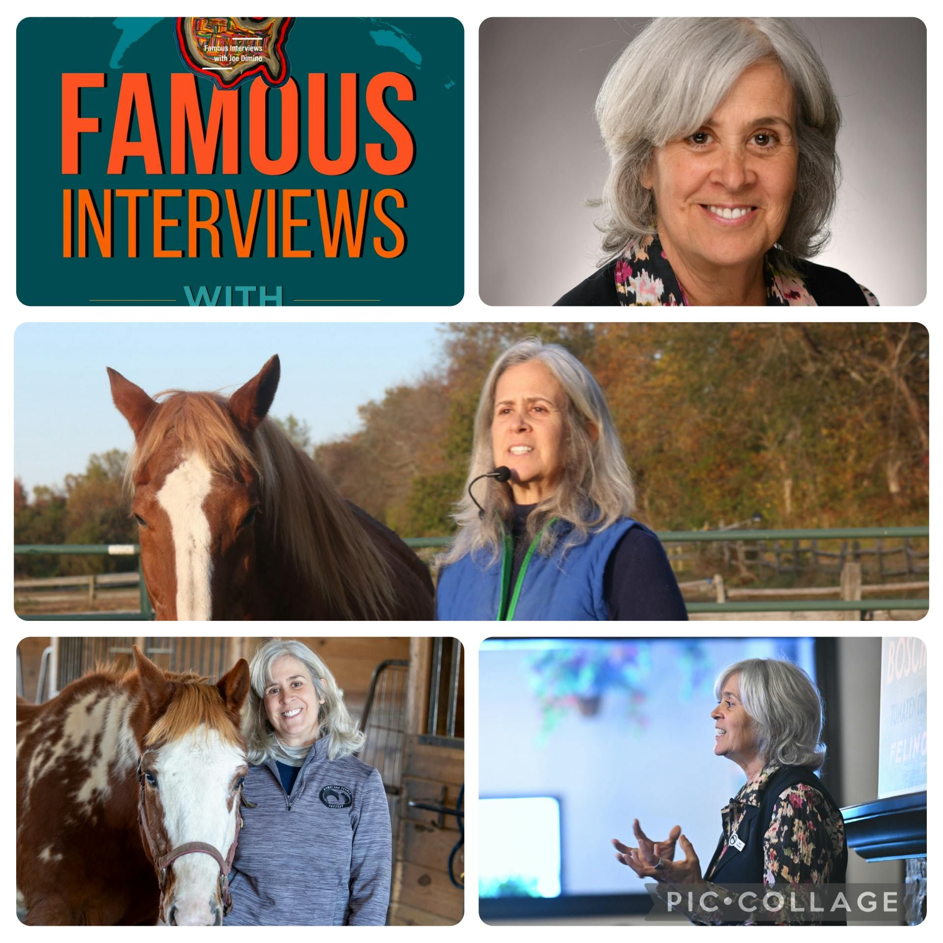 Speaker, Author & Founder of the Horse and People Project Maria Alessandri episode artwork