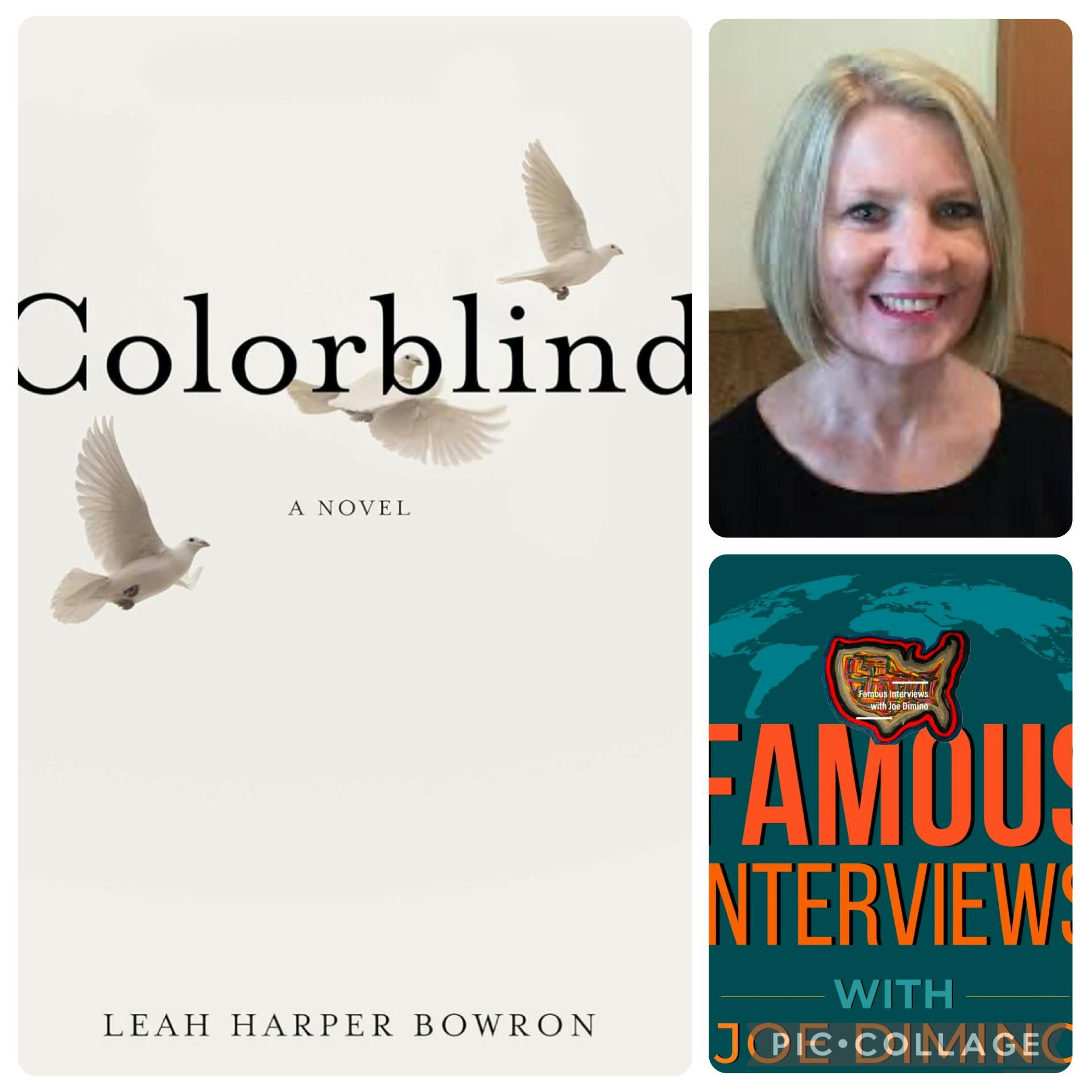 Lawyer and Author Leah Harper Bowron episode artwork