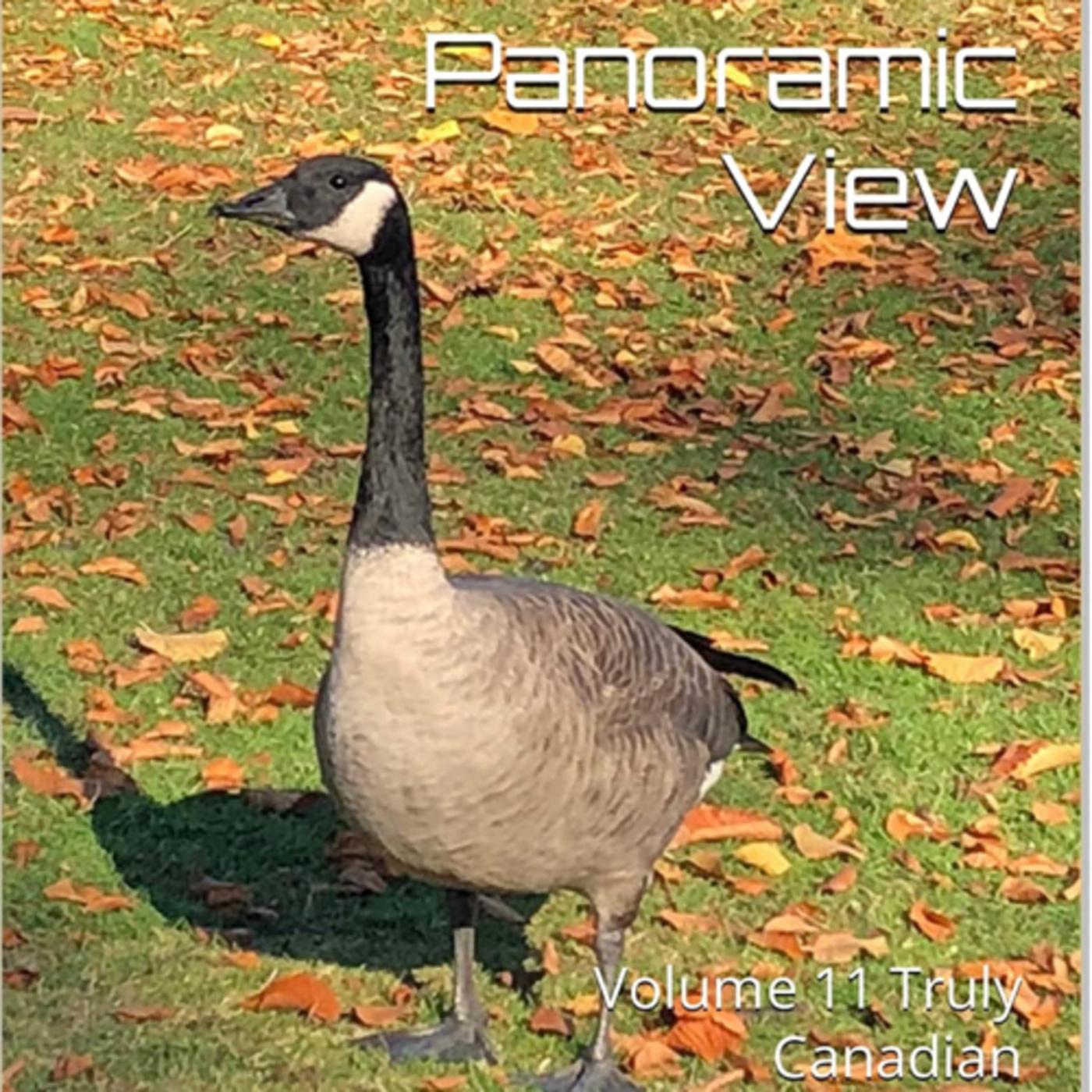 Panoramic View Volume 11 Truly Canadian by Daniel Lucas episode artwork