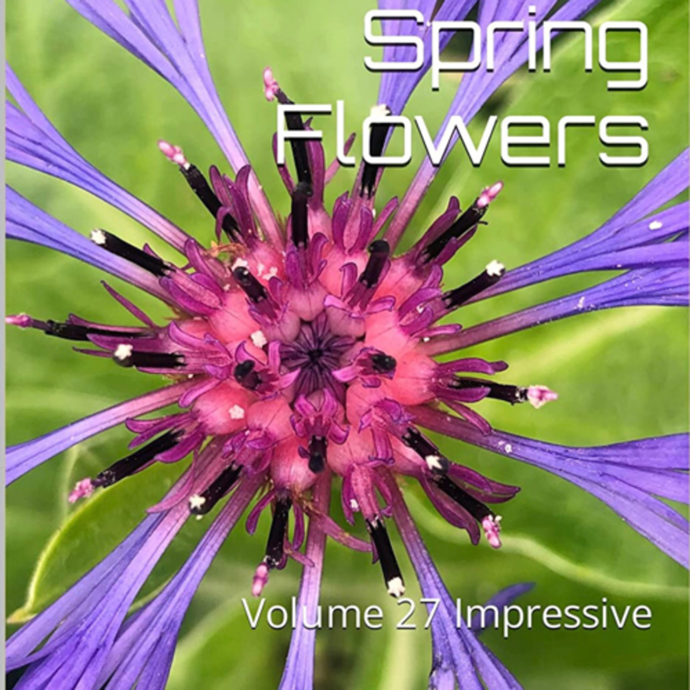 Spring Flowers Volume 27 Impressive by Daniel Lucas episode artwork