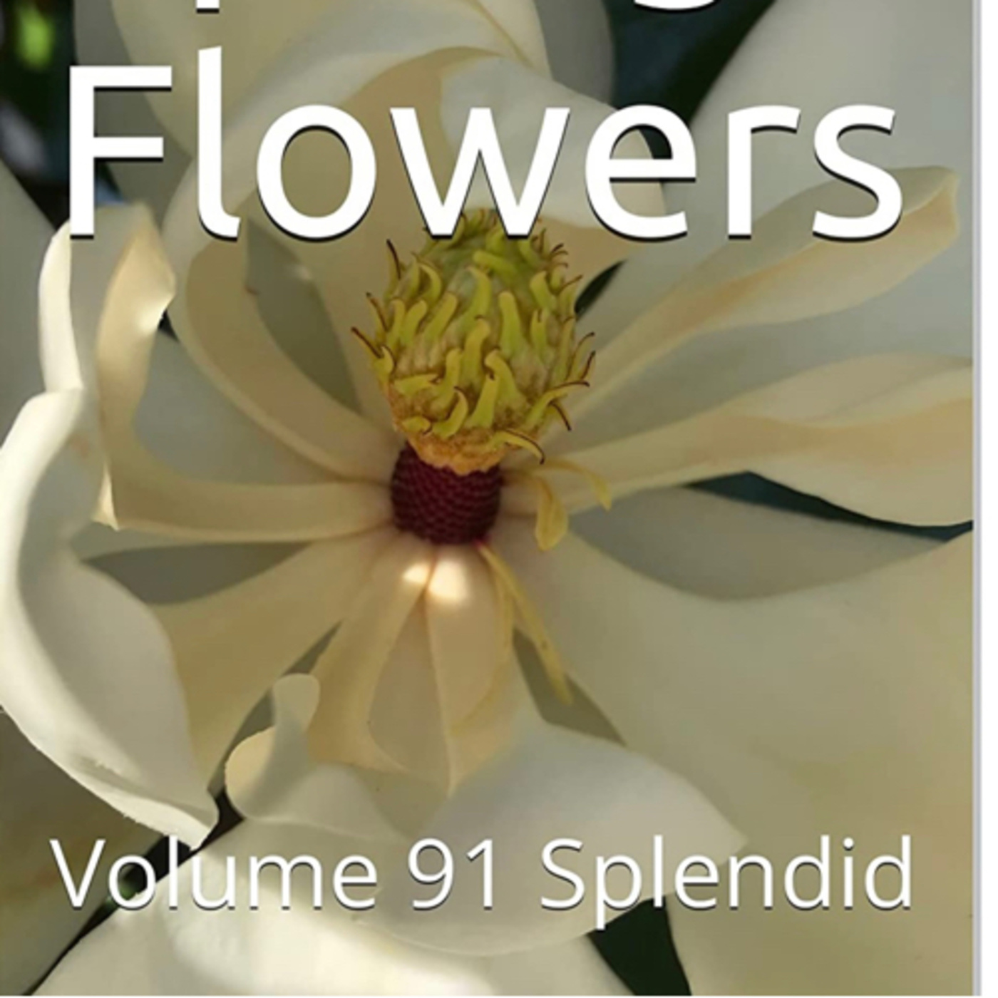 Spring Flowers Volume 91 Splendid by Daniel Lucas episode artwork