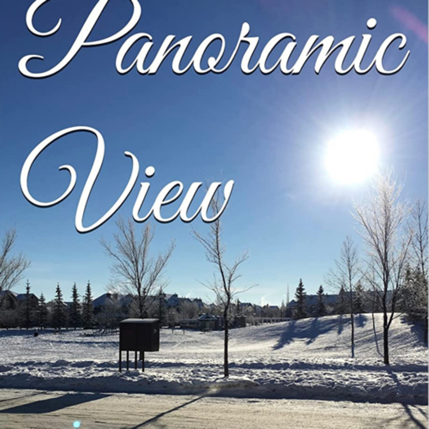 Panoramic View Volume 14 Winter by Daniel Lucas episode artwork
