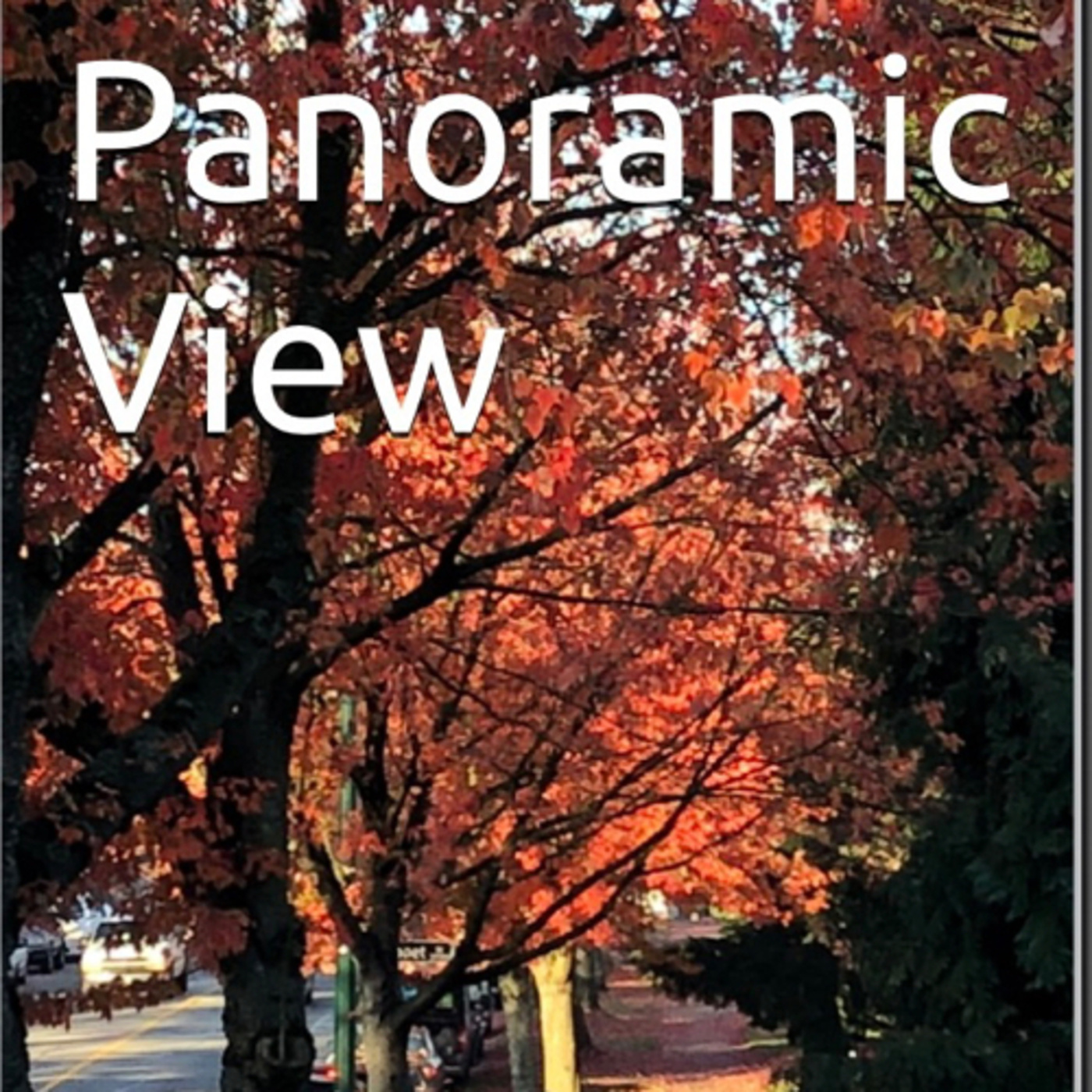 Panoramic View Volume 31 Fall by Daniel Lucas episode artwork