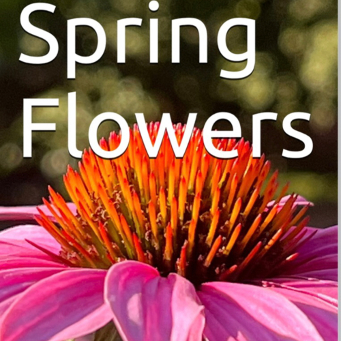 Spring Flowers Volume 93 Decorative by Daniel Lucas episode artwork