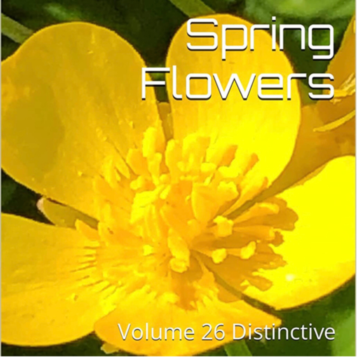 Spring Flowers Volume 26 Distinctive by Daniel Lucas episode artwork