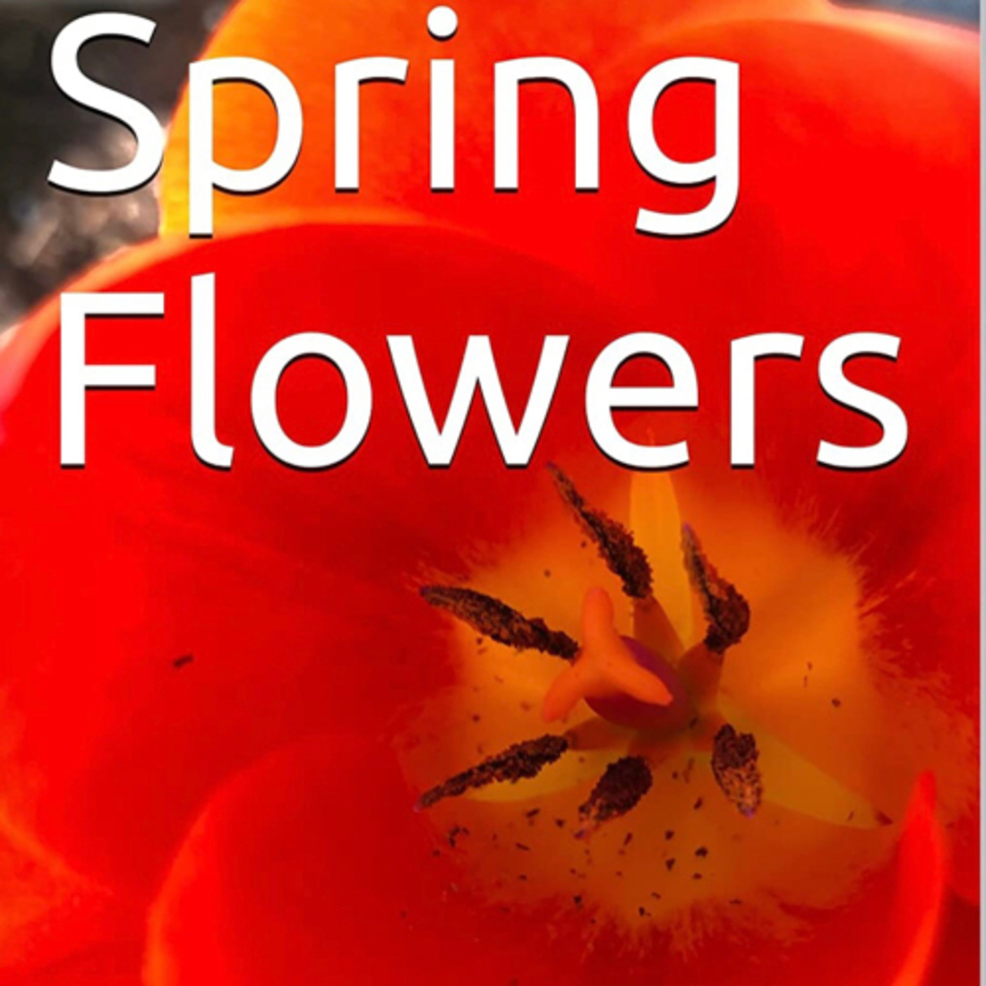 Spring Flowers Volume 25 Captivating by Daniel Lucas episode artwork