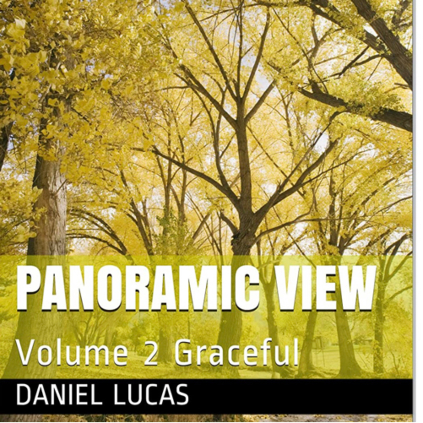 Panoramic View Volume 2 Graceful by Daniel Lucas episode artwork