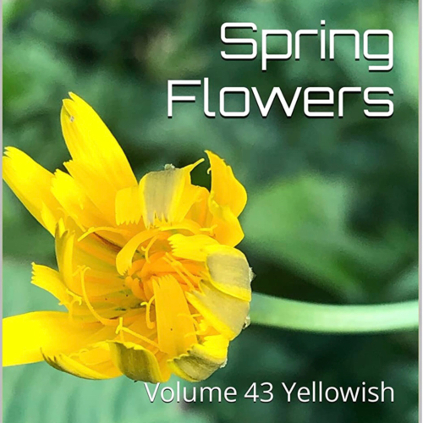 Spring Flowers Volume 43 Yellowish by Daniel Lucas episode artwork