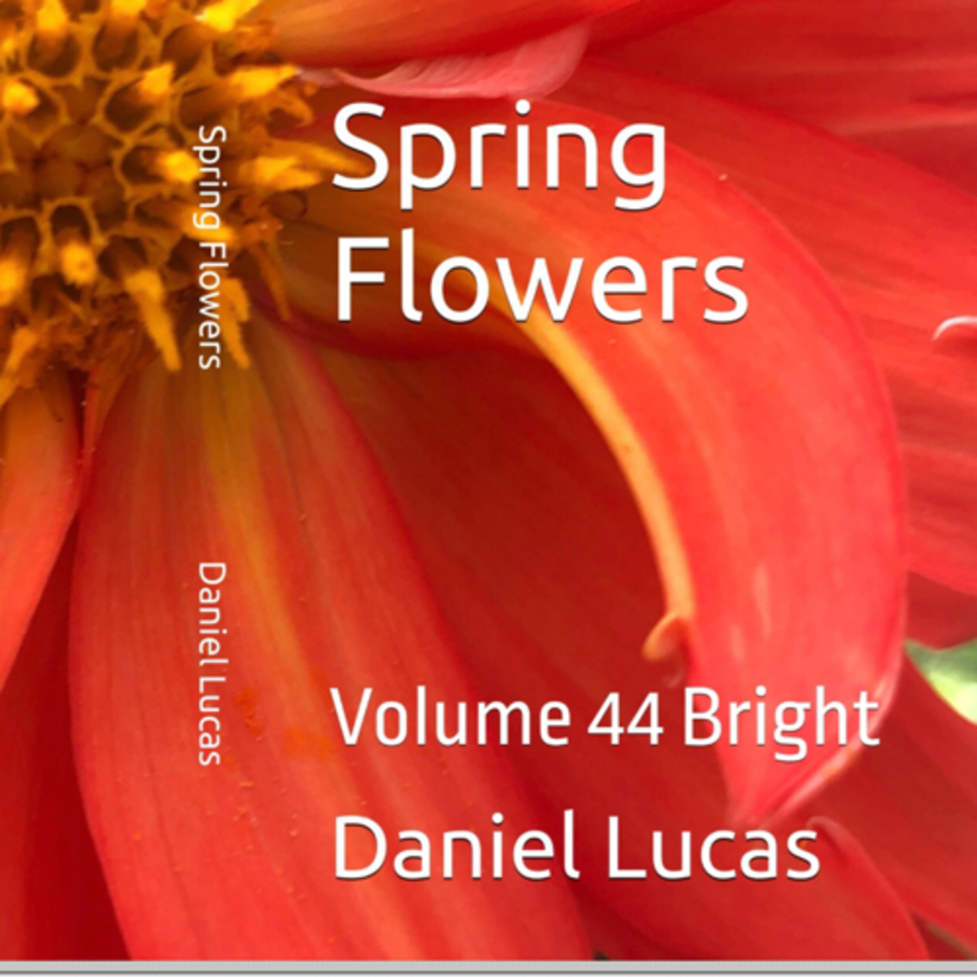Spring Flowers Volume 44 Bright by Daniel Lucas episode artwork