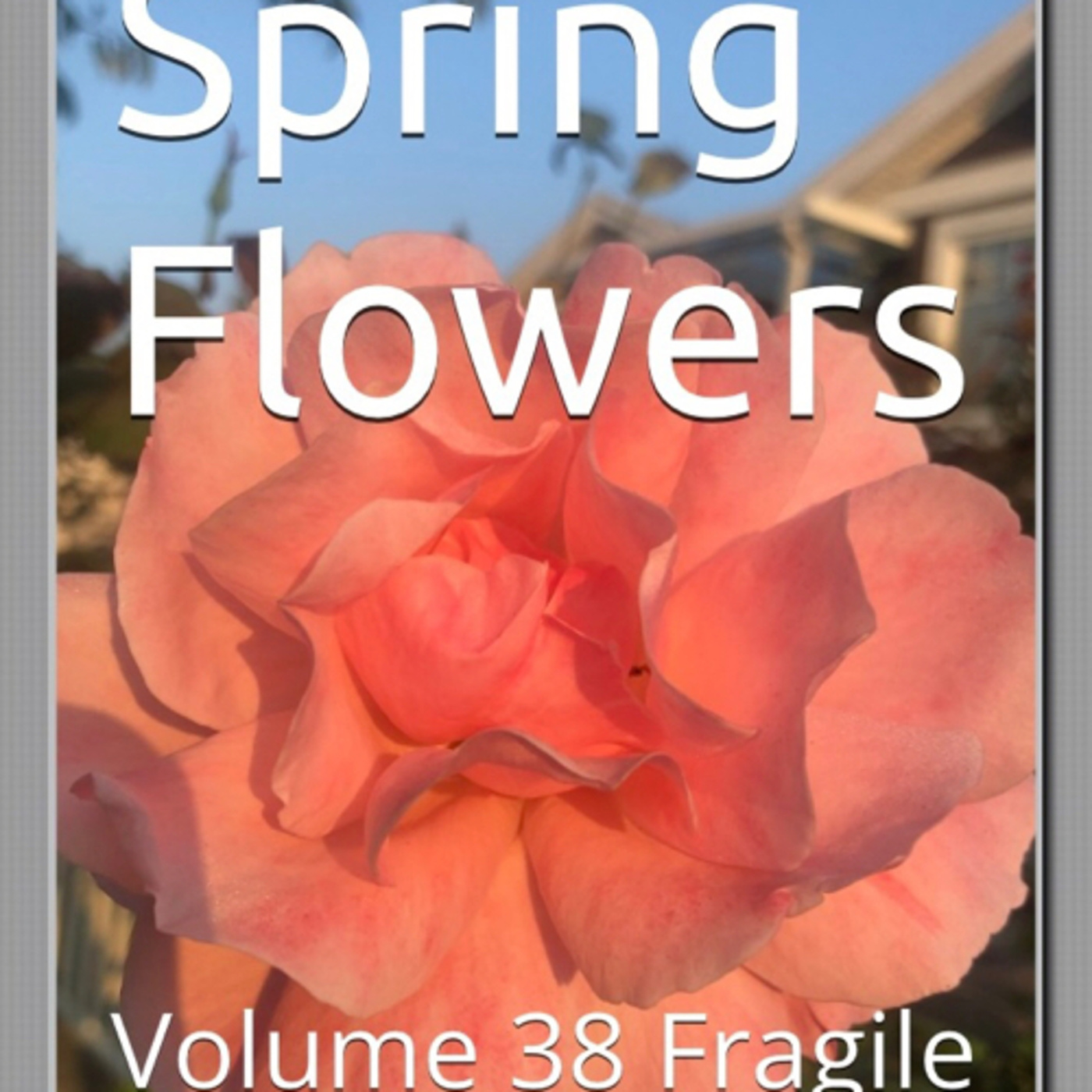 Spring Flowers Volume 38 Fragile by Daniel Lucas episode artwork
