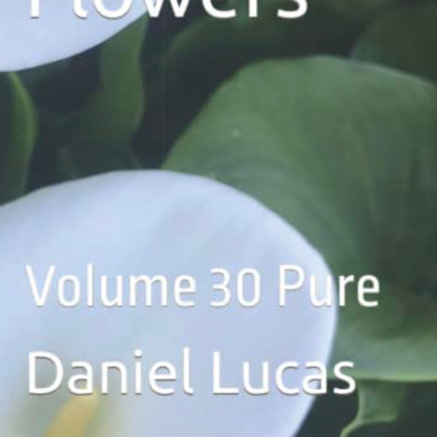 Spring Flowers Volume 30 Pure by Daniel Lucas episode artwork