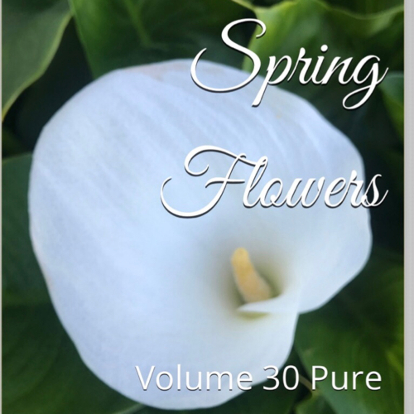 Spring Flowers Volume 30 Pure by Daniel Lucas