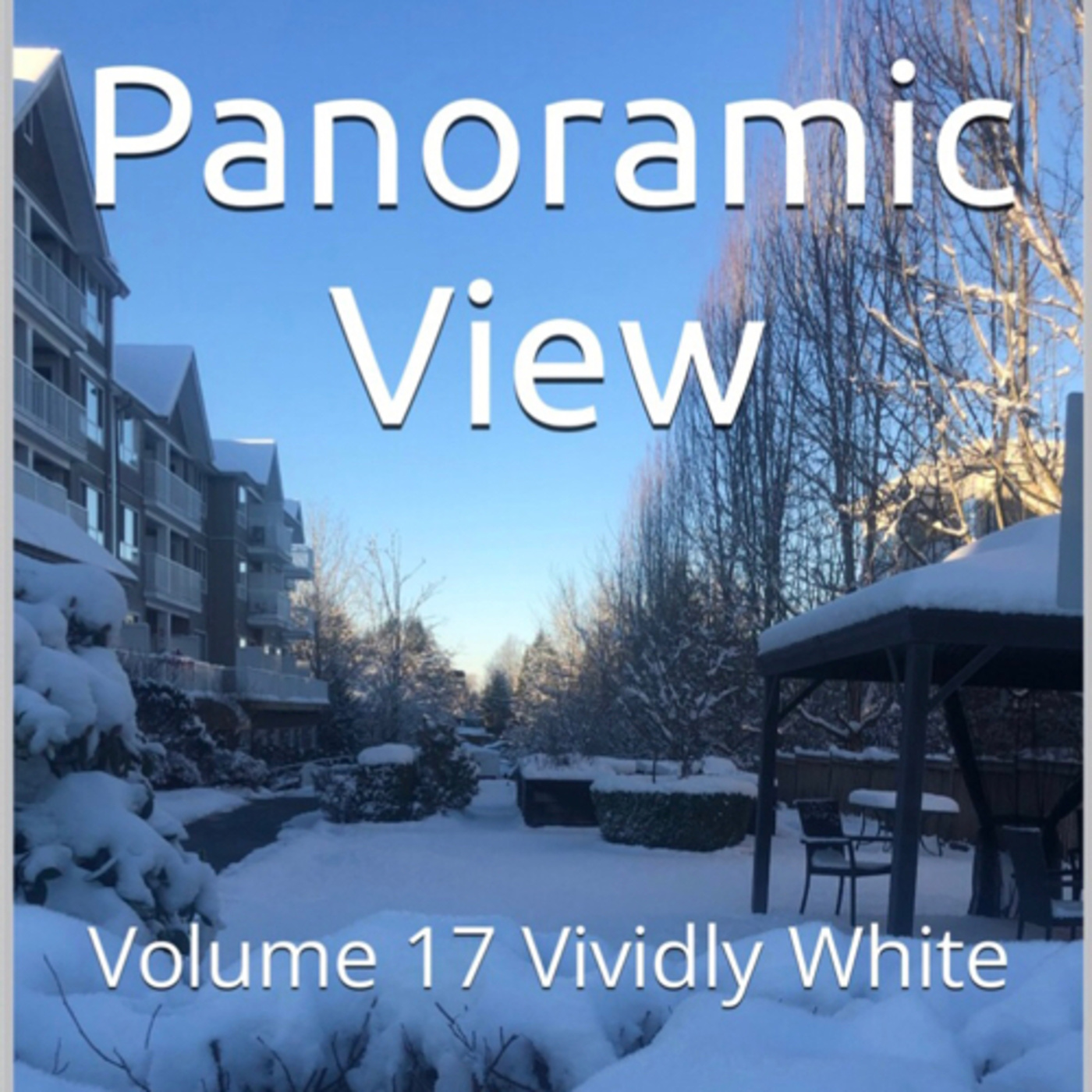 Panoramic View Volume 17 Vividly White by Daniel Lucas
