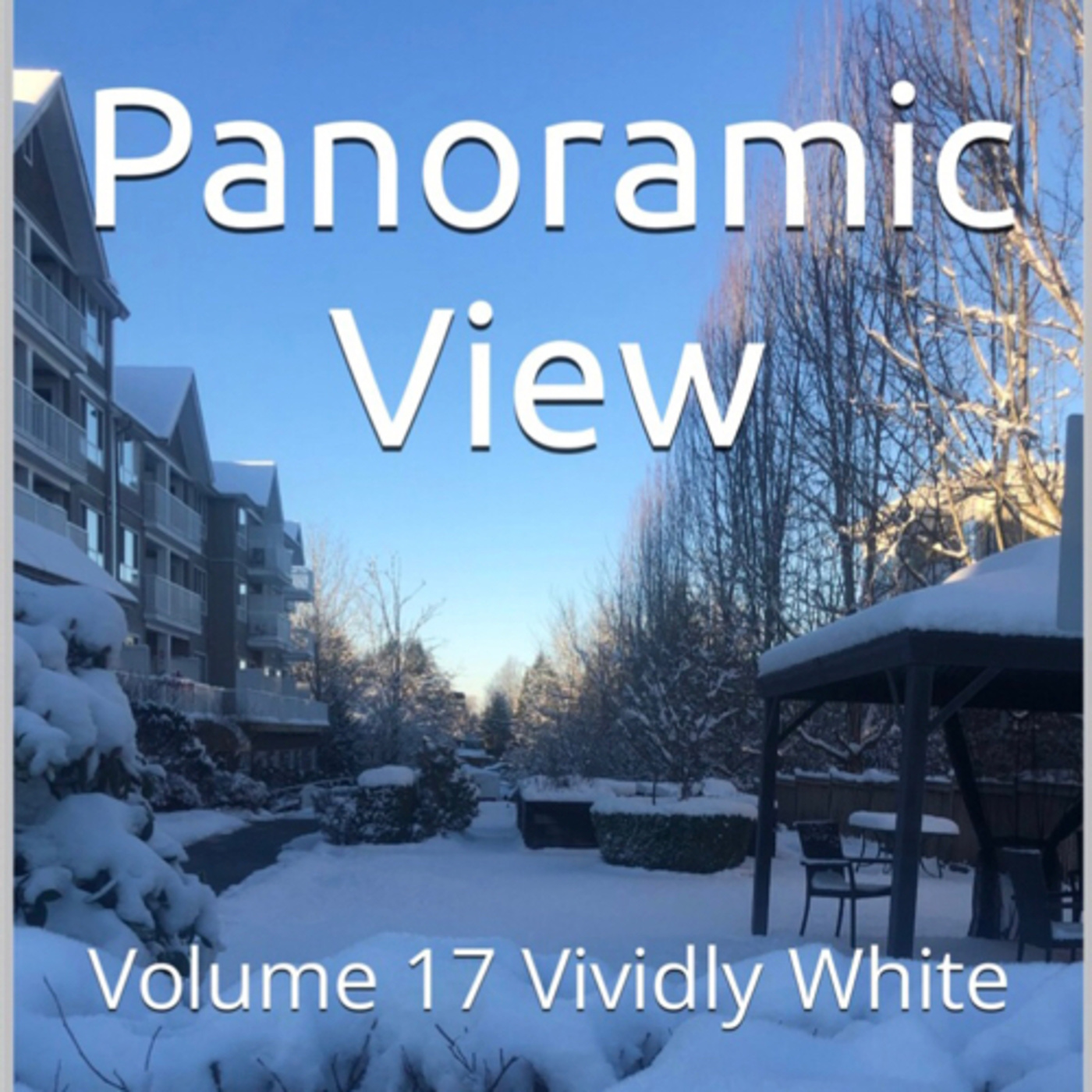 Panoramic View Volume 17 Vividly White by Daniel Lucas