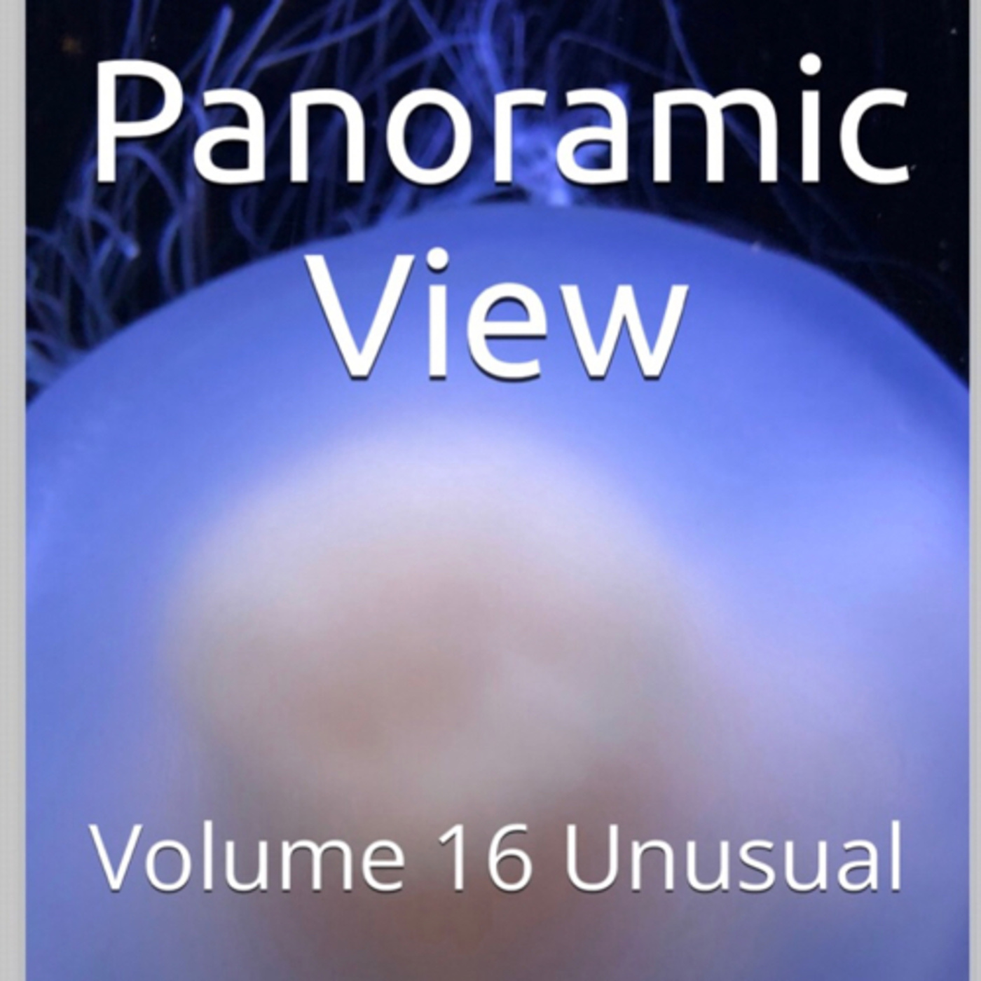 Panoramic View Volume 16 Unusual by Daniel Lucas episode artwork