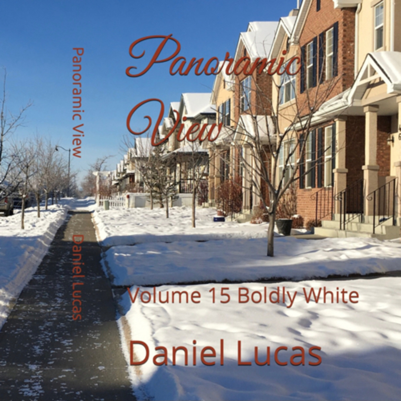 Panoramic View Volume 15 Boldly White by Daniel Lucas episode artwork