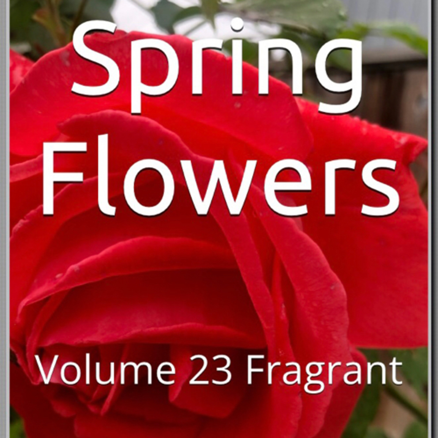 Spring Flowers Volume 23 Fragrant by Daniel Lucas episode artwork