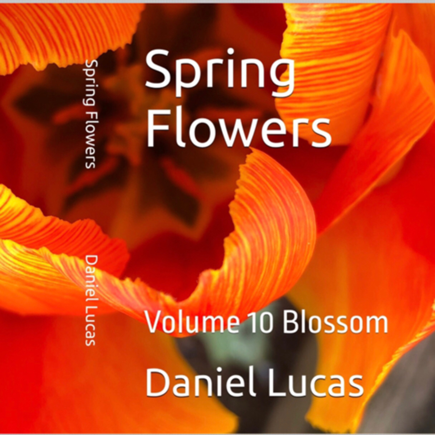 Spring Flowers Volume 10 Blossom by Daniel Lucas