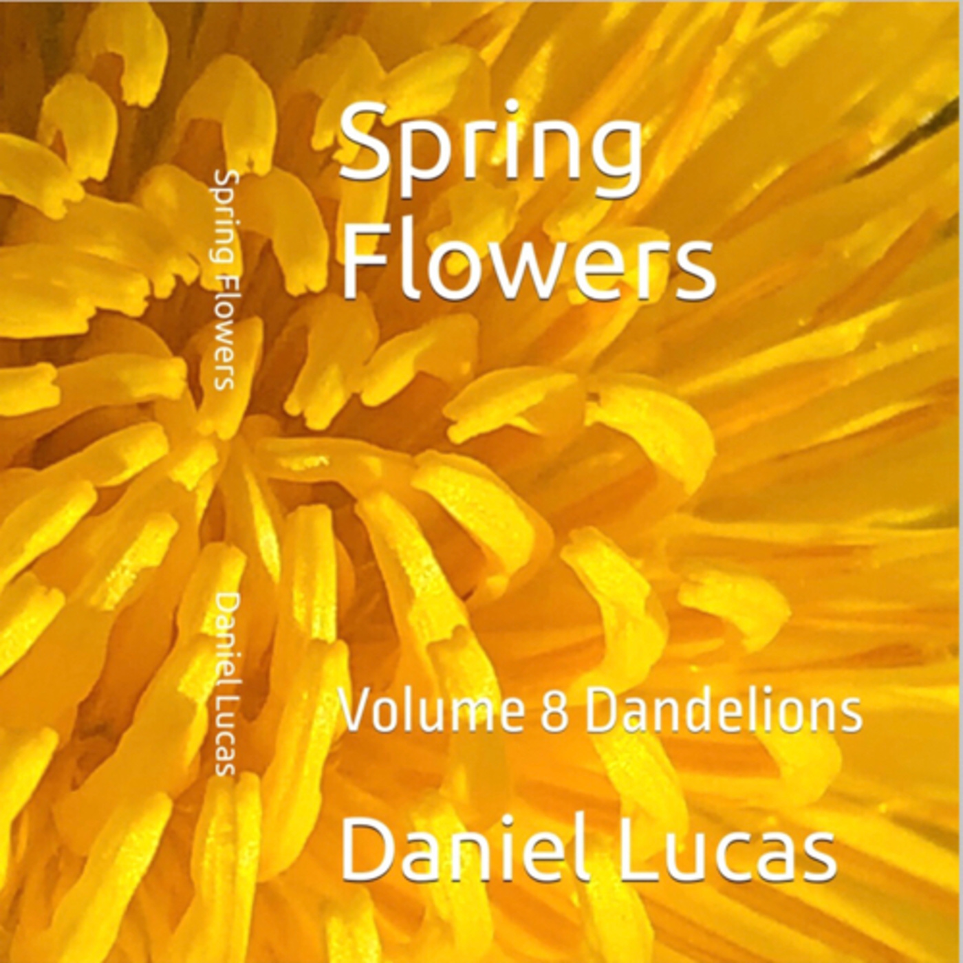 Spring Flowers Volume 8 Dandelions by Daniel Lucas