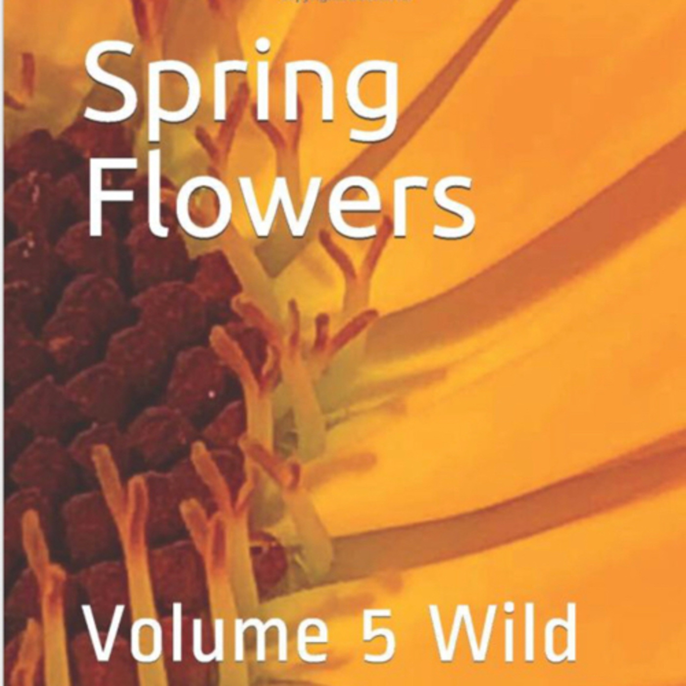 Spring Flowers by Daniel Lucas