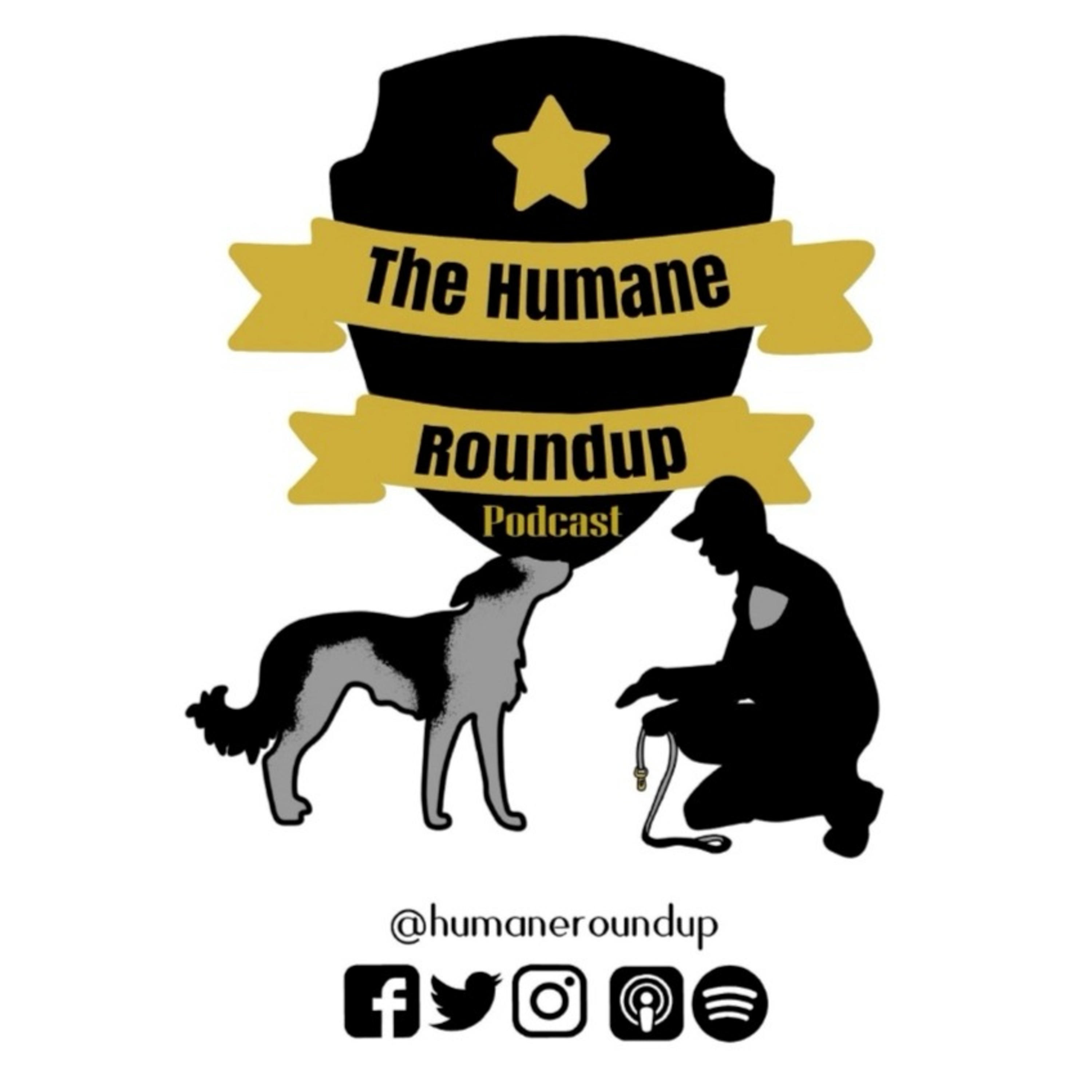 Together we can Help More Animals (Episode 145) episode artwork