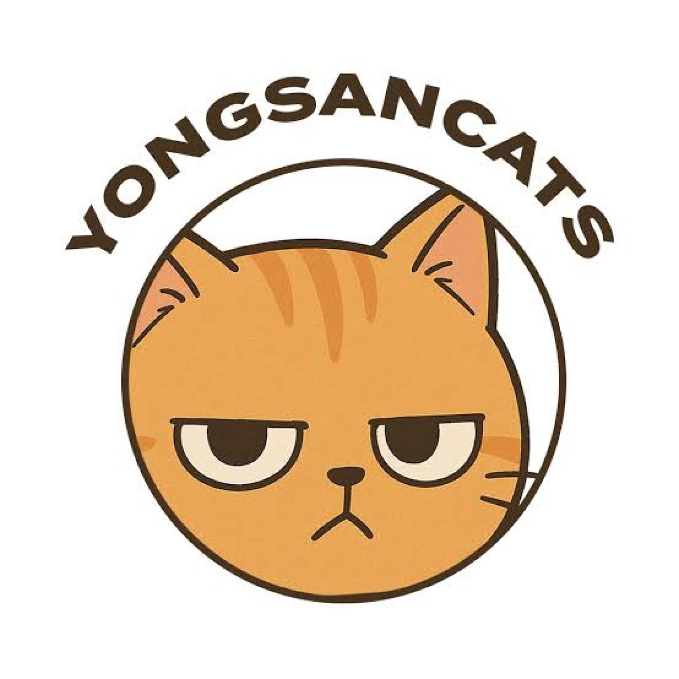 The Cats of Korea: Inside the YongsanCats Rescue Mission episode artwork