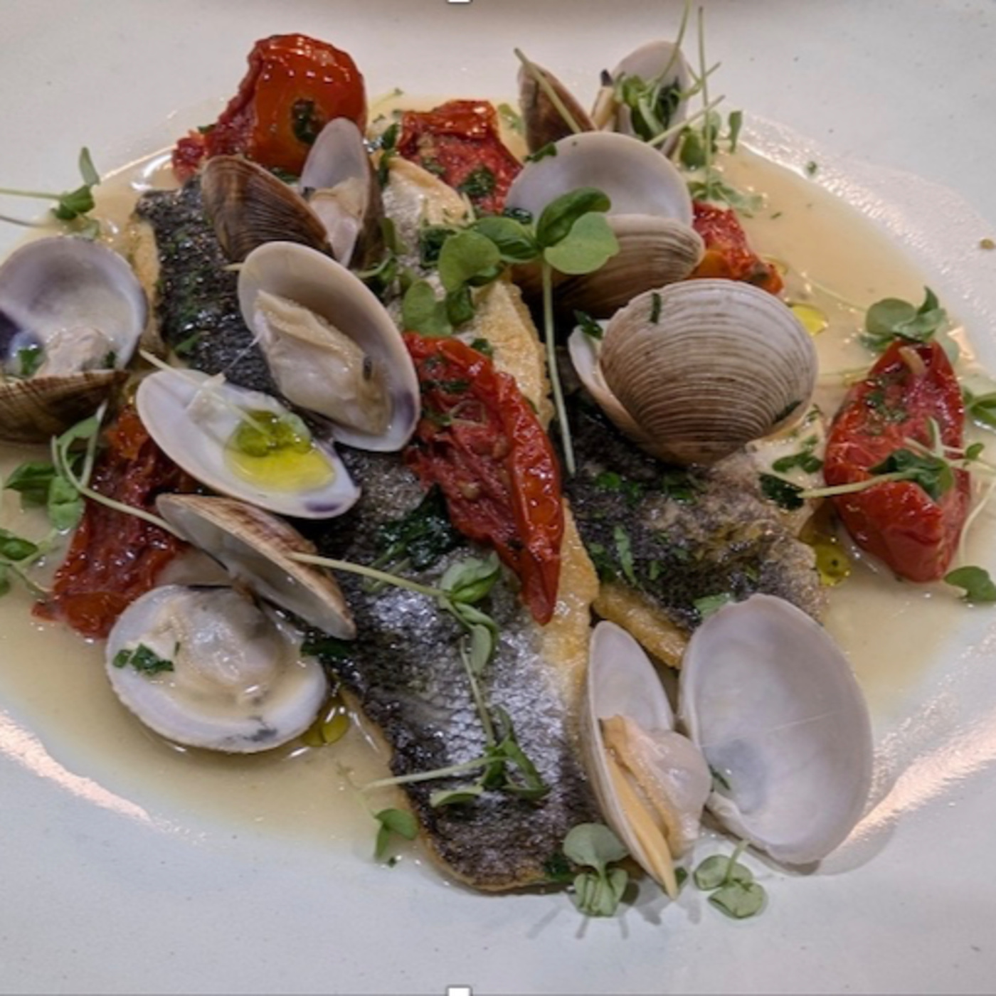 Food 101 in its fifth season with Chef Alessandro Panattoni talking about Branzino Acqua Passa. episode artwork
