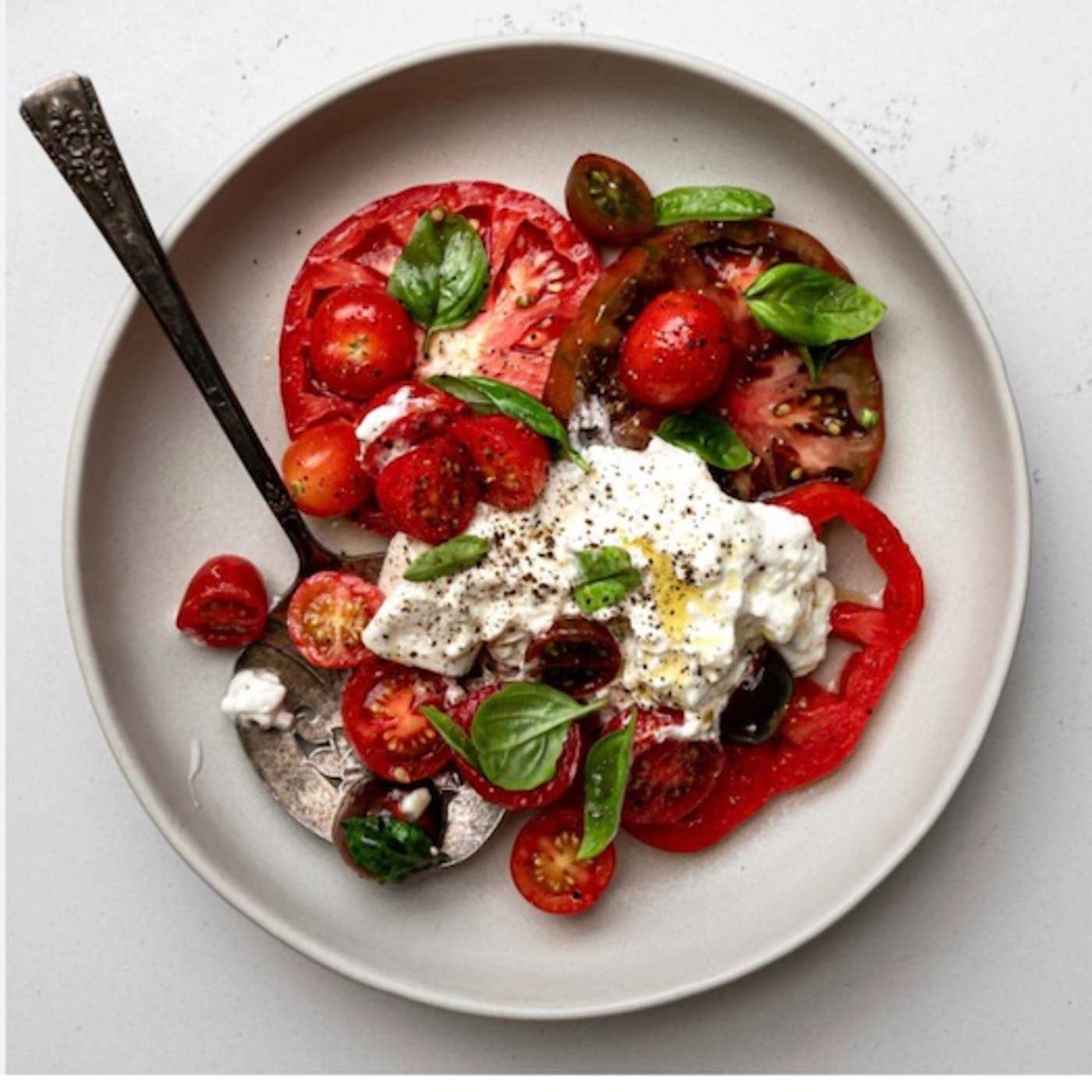 Food 101 in its fifth season with Chef Alessandro Panattoni. episode artwork