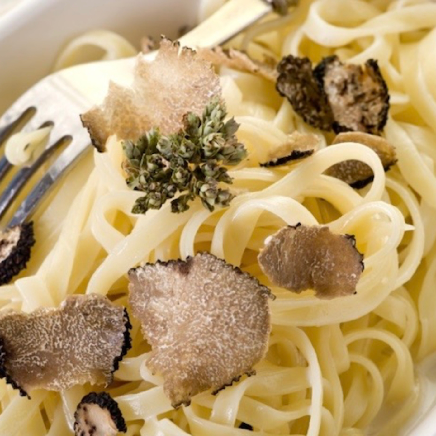 Food 101 on our fourth season with Chef Allessandro Panattoni. episode artwork