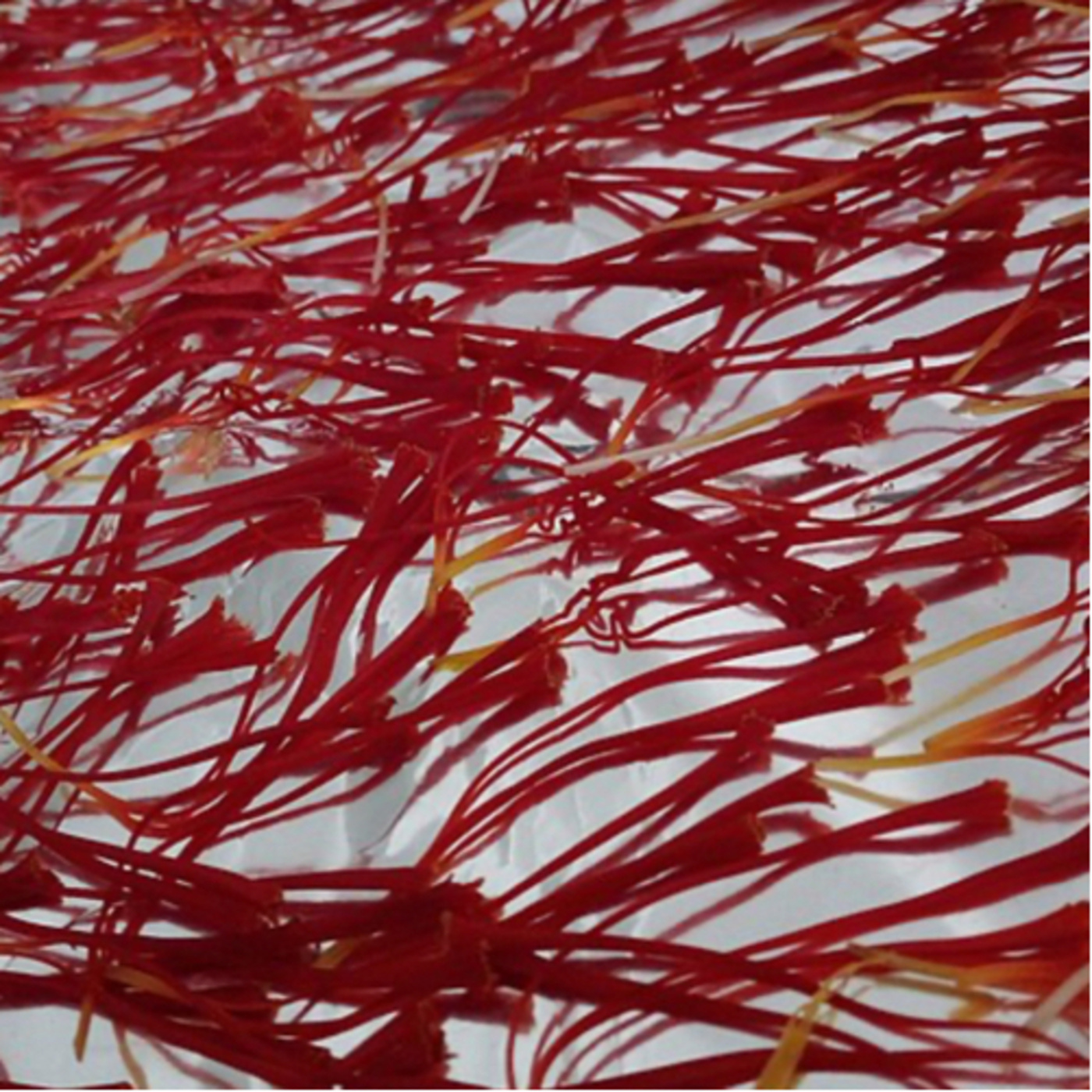 Saffron is a spice derived from the flower of Crocus sativus episode artwork