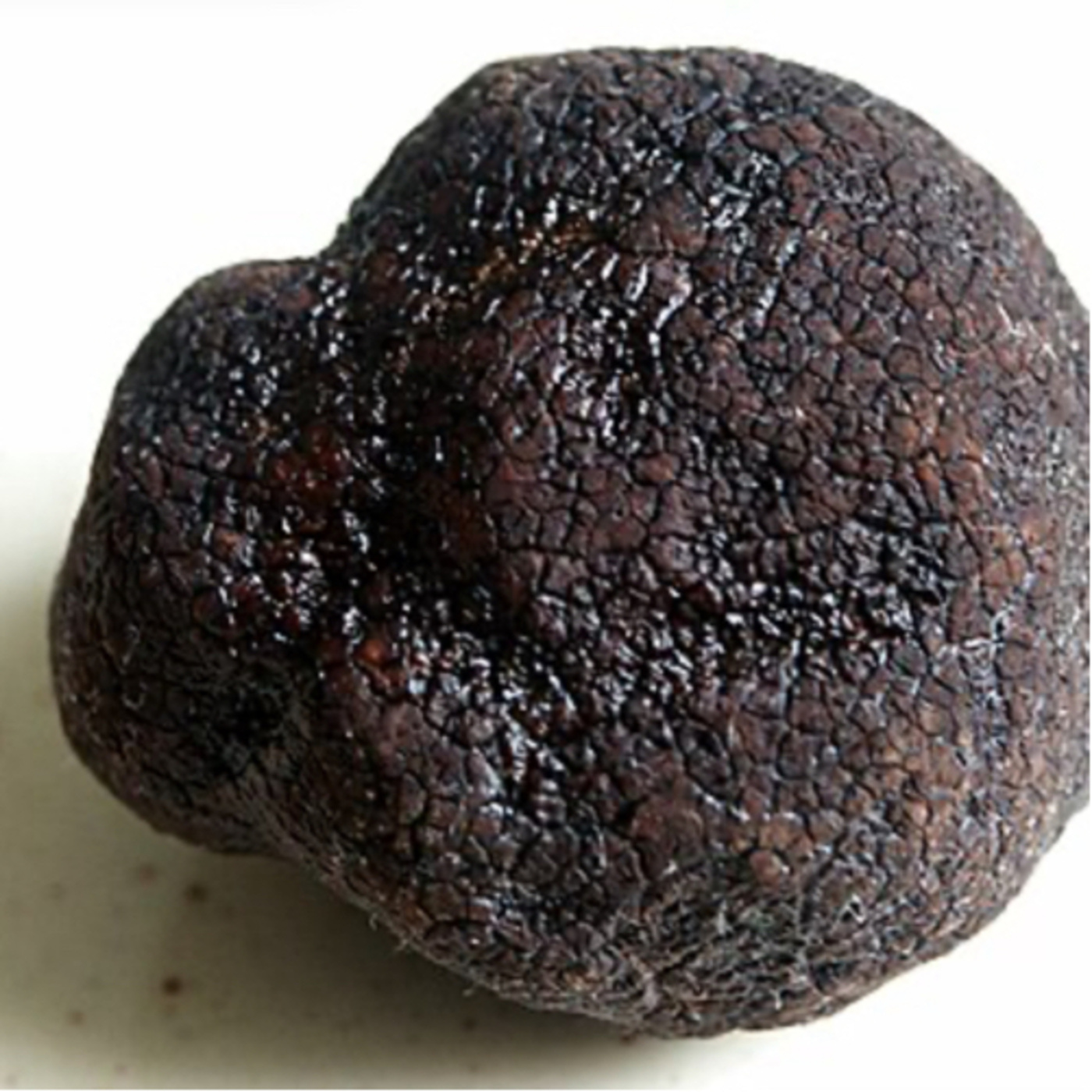 Truffle is the fruiting body of a subterranean ascomycete fungus, predominantly. episode artwork