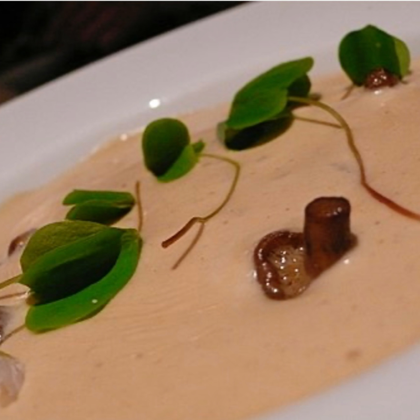 Velouté sauce episode artwork