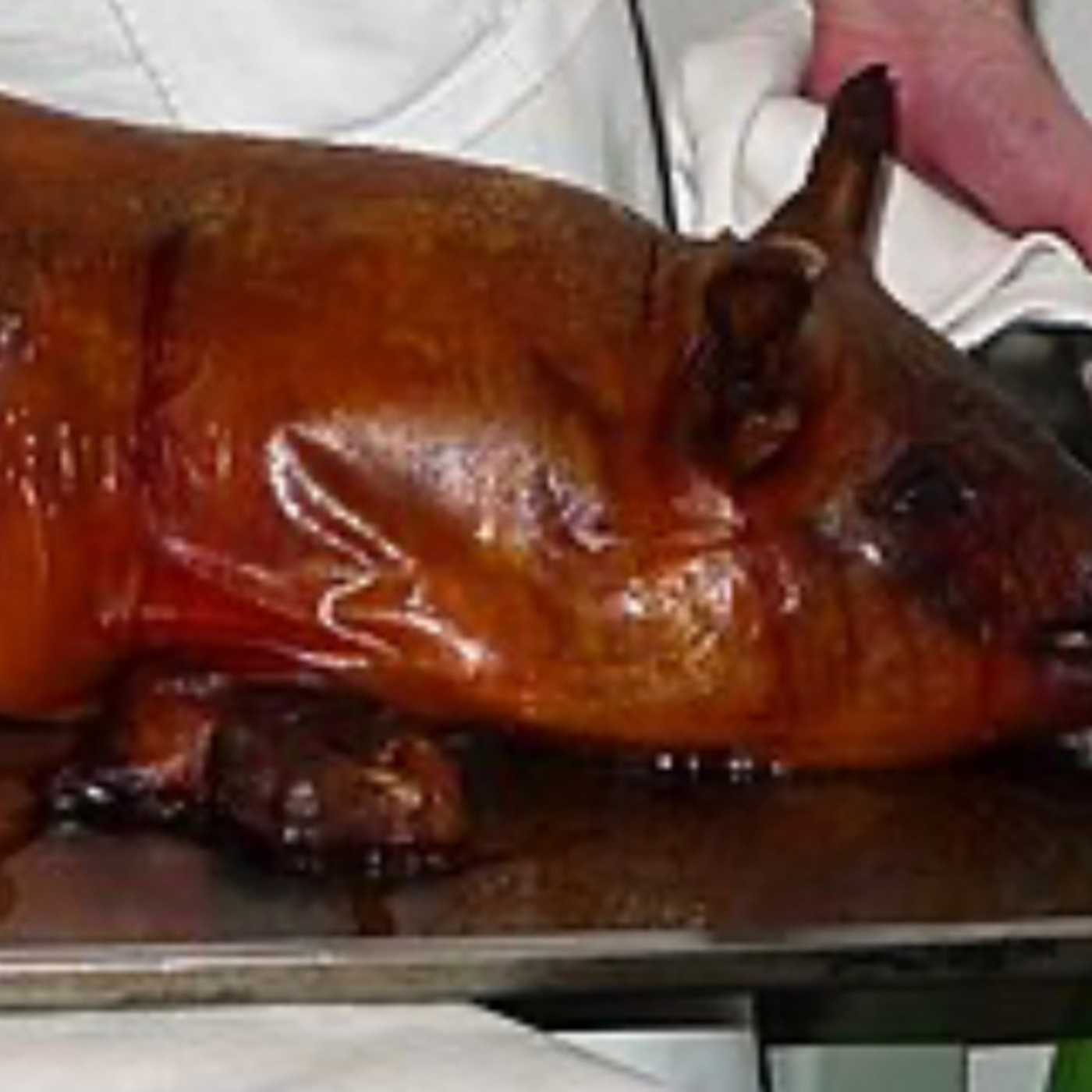 A suckling pig (Lechon) is a piglet fed on its mother's milk episode artwork