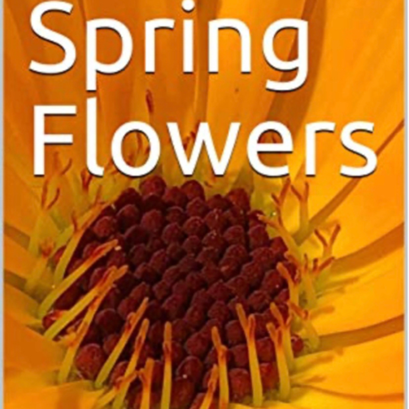 Spring Flowers Volume 5 Wild by Daniel Lucas episode artwork