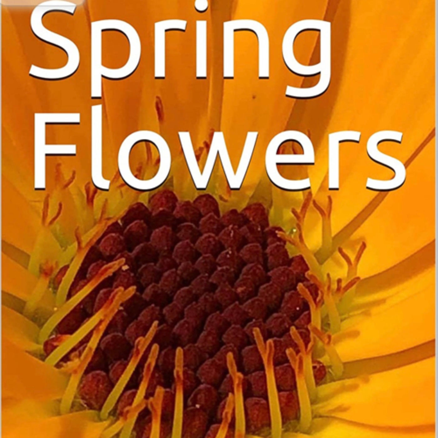 Spring Flowers Volume 5 Wild by Daniel Lucas episode artwork