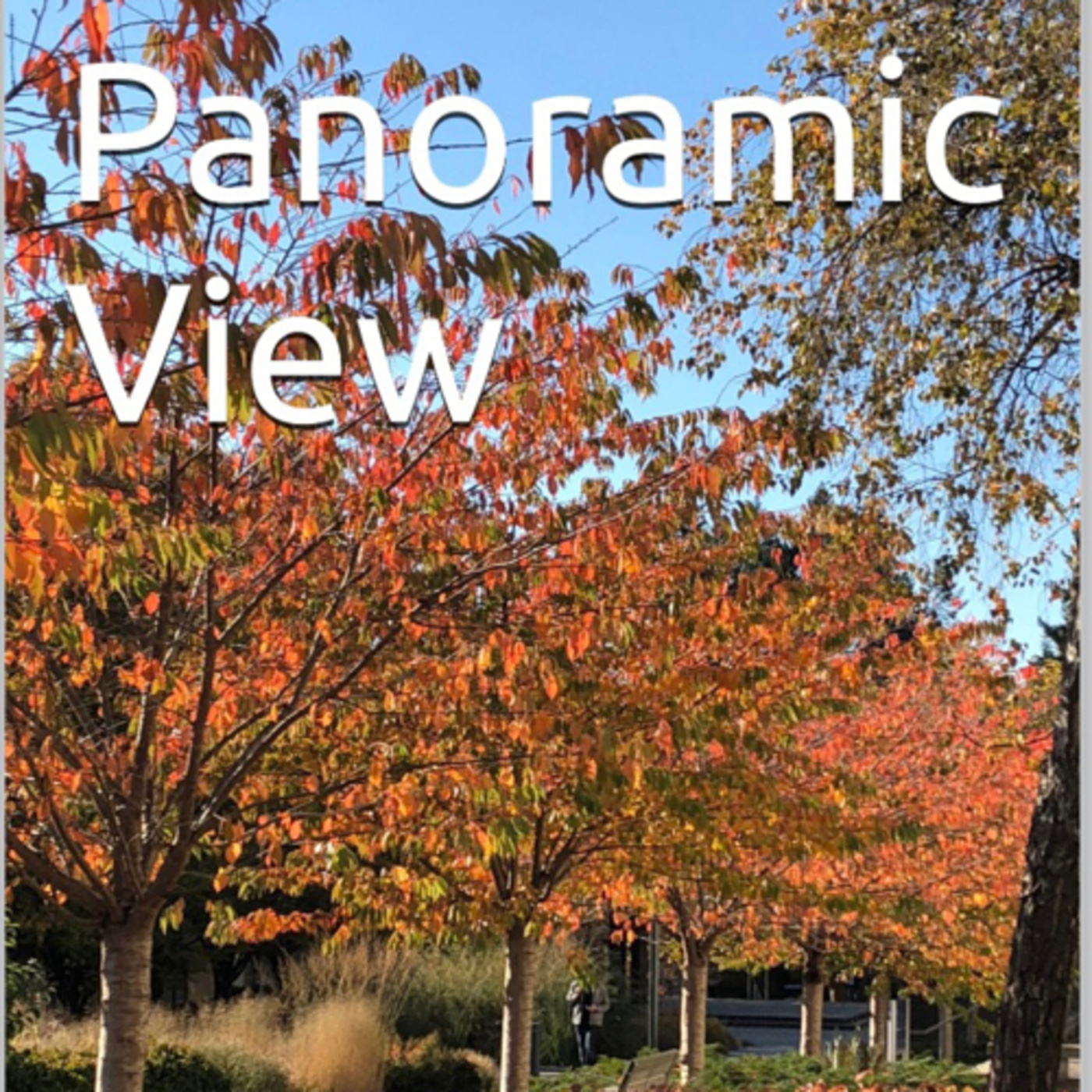 Panoramic View Volume 32 Bright by Daniel Lucas episode artwork