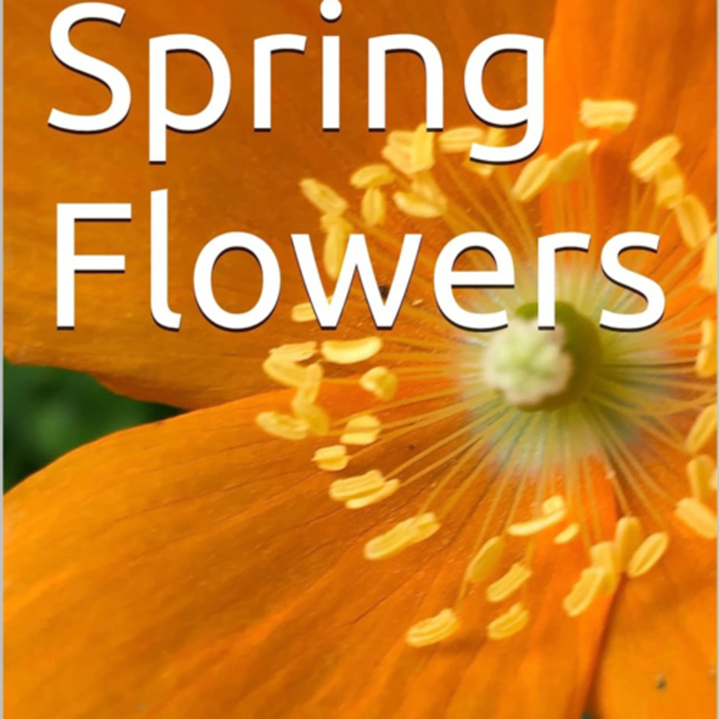 Spring Flowers Volume 89 Modest by Daniel Lucas episode artwork