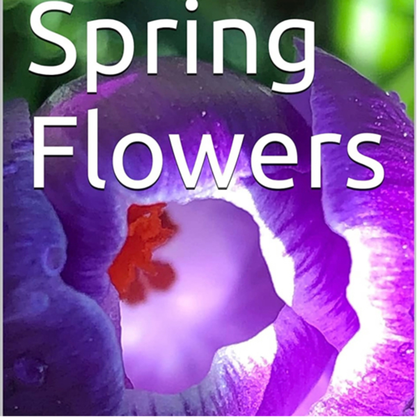 Spring Flowers Volume 56 Fancy by Daniel Lucas episode artwork