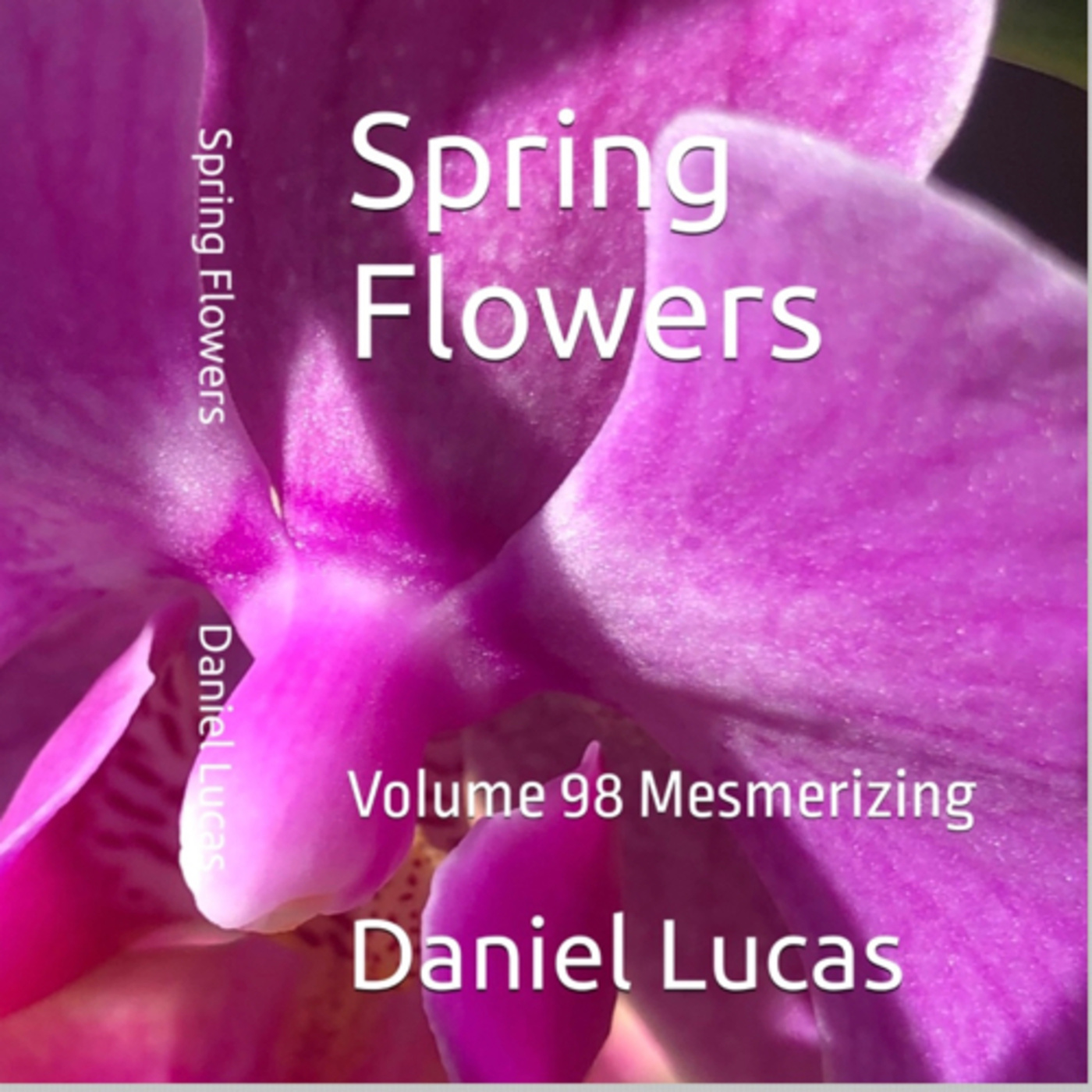 Spring Flowers Volume 98 Mesmerizing by Daniel Lucas episode artwork
