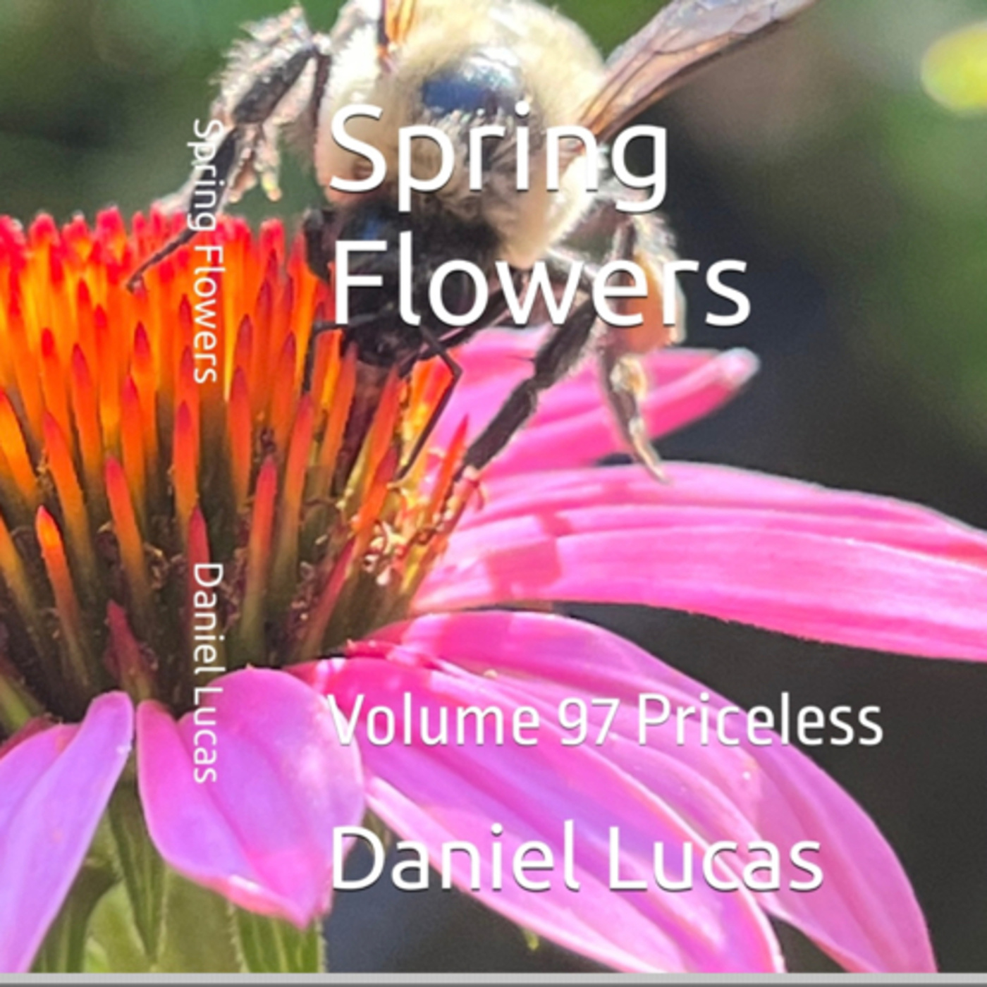 Spring Flowers Volume 97 Priceless by Daniel Lucas episode artwork