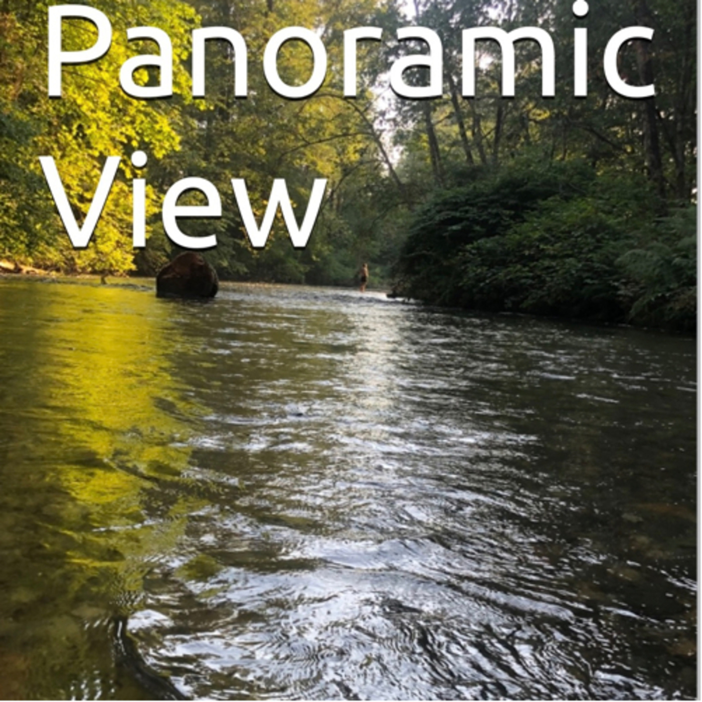 Panoramic View Volume 30 Striking by Daniel Lucas episode artwork