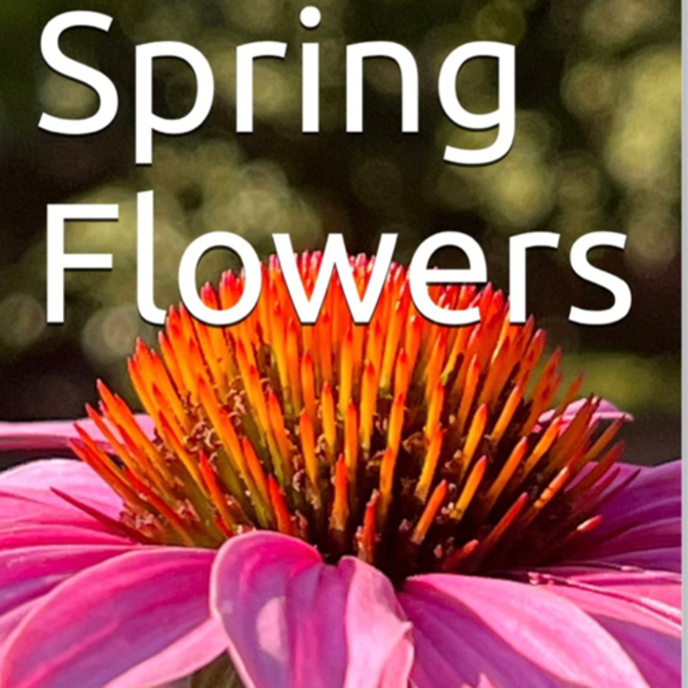 Spring Flowers Volume 93 Decorative by Daniel Lucas episode artwork