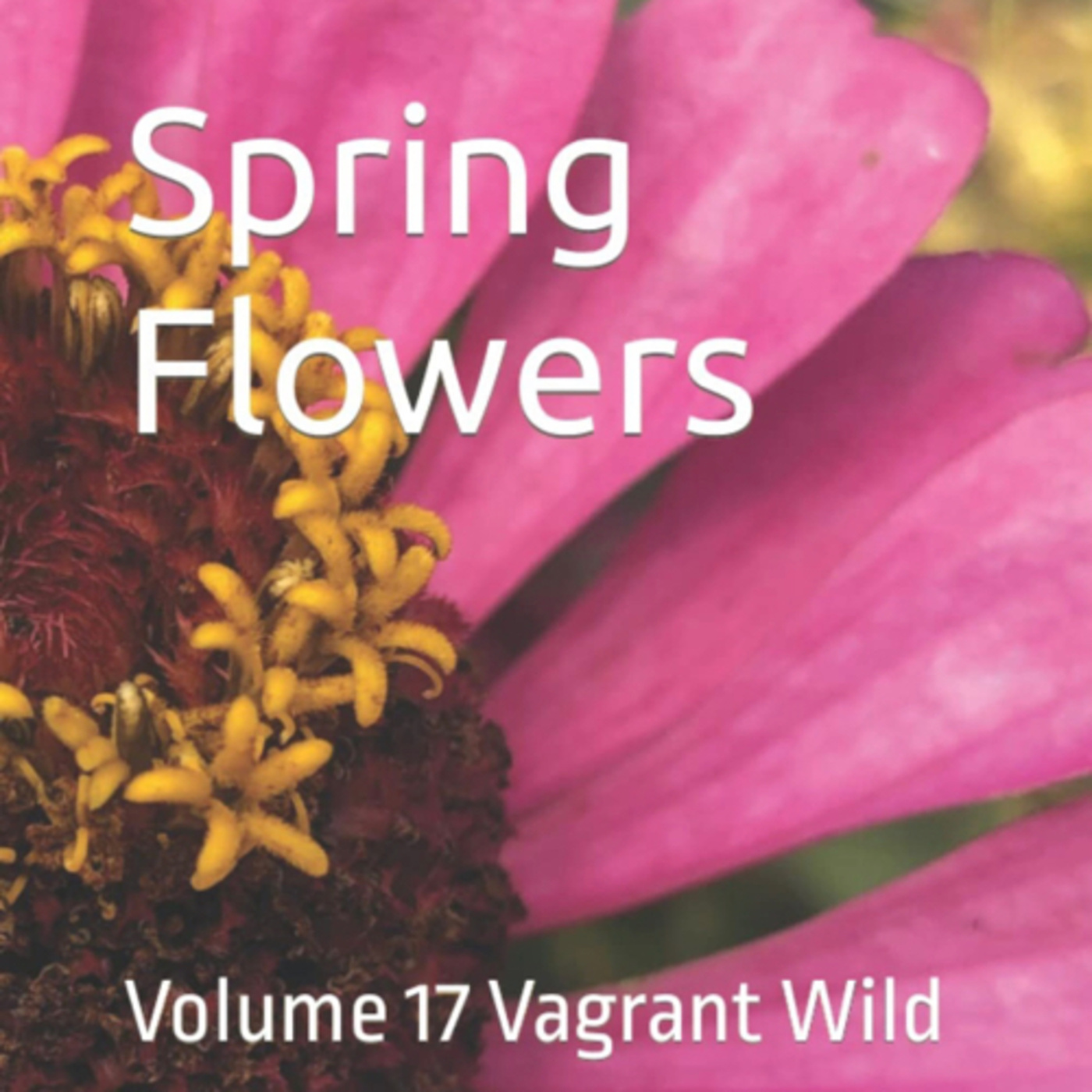 Spring Flowers Volume 17 Vagrant Wild by Daniel Lucas episode artwork