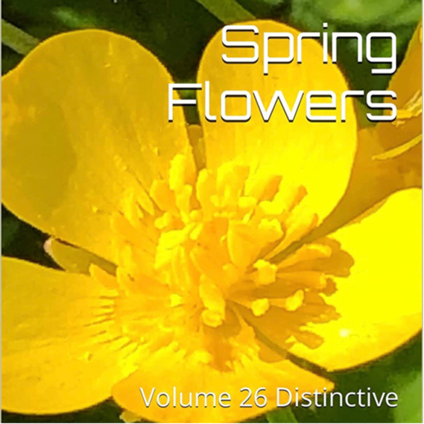 Spring Flowers Volume 26 Distinctive by Daniel Lucas episode artwork