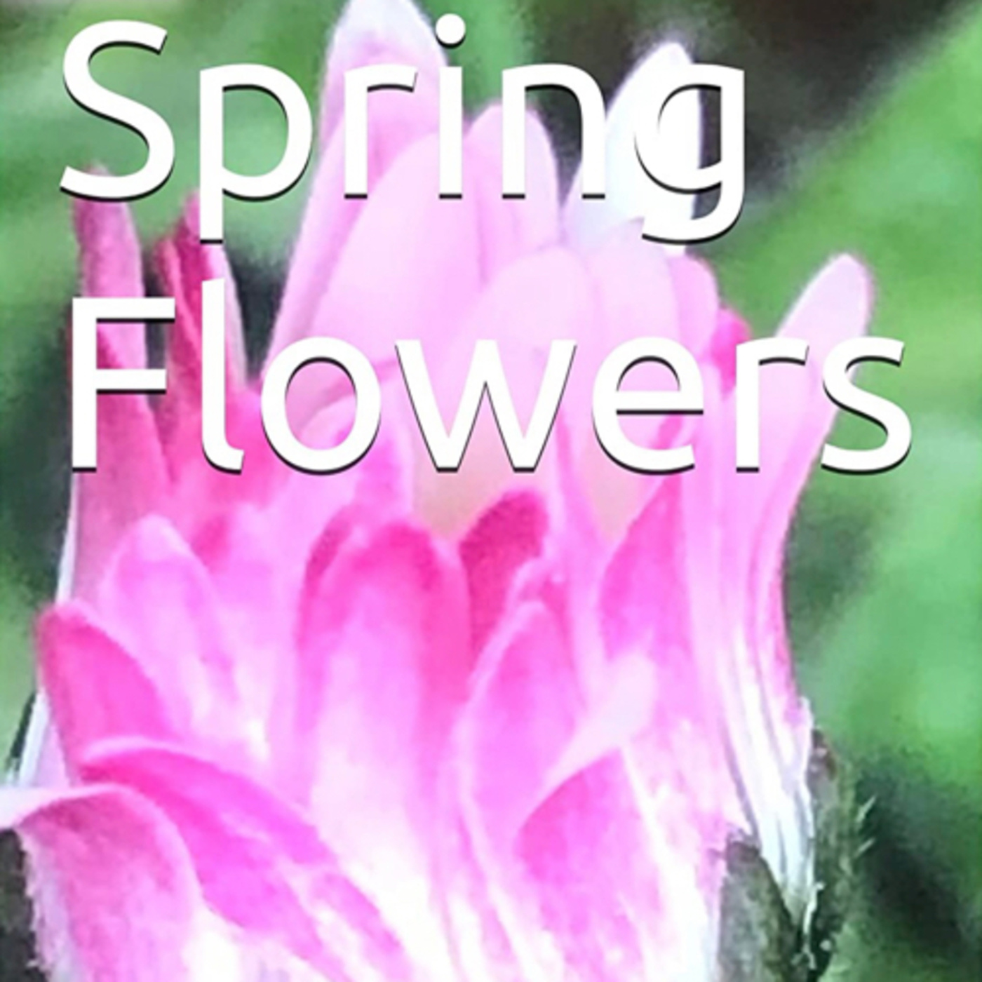 Spring Flowers Volume 75 Uniquely by Daniel Lucas episode artwork